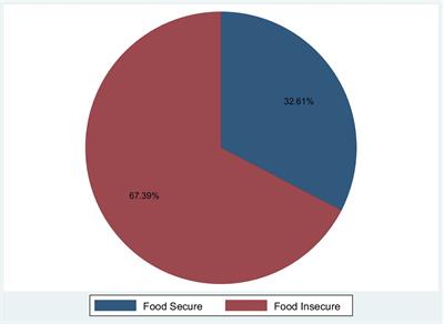 Factors associated with food insecurity among pregnant women in Gedeo zone public hospitals, Southern Ethiopia